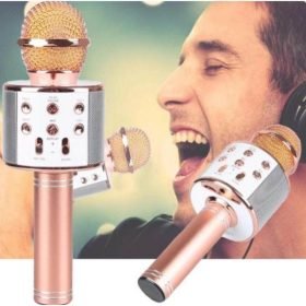 Wireless Microphone Hifi Speaker (WS 858 MMK) Rose Gold