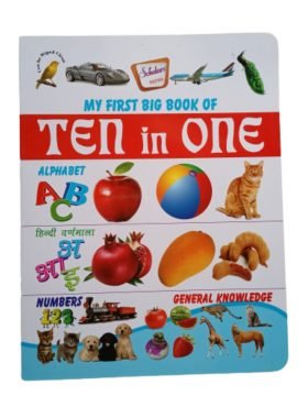 My First Big Book of Ten in One