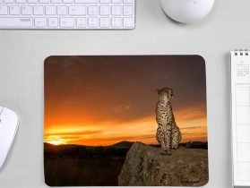 Cheetah Theme Gamers Mouse Pad for laptop & Desktop