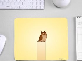 Owl Cartoon Character Theme Mouse Pad