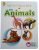 Wild Animals Picture Book For Kids